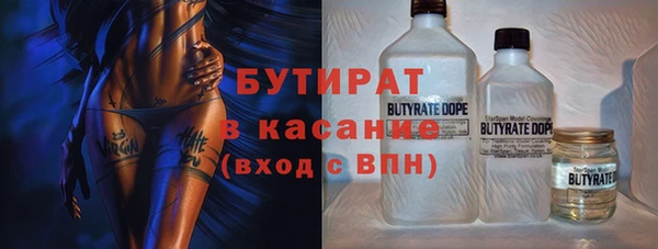 PSILOCYBIN Гатчина