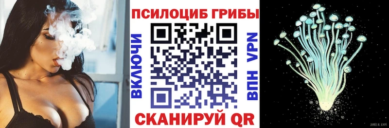 Псилоцибиновые грибы Cubensis  Кола 